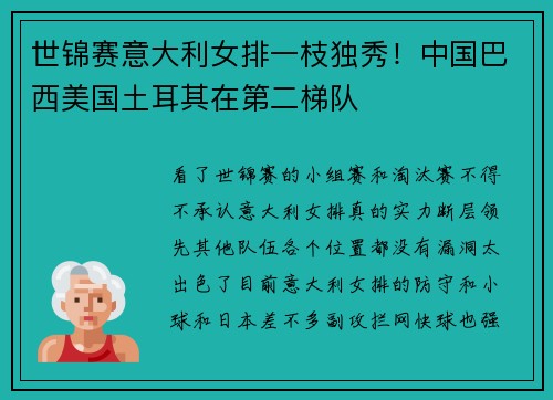 世锦赛意大利女排一枝独秀！中国巴西美国土耳其在第二梯队